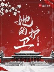 她的护卫讲的是什么