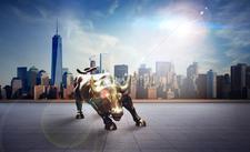 金山蝴蝶全文免费阅读